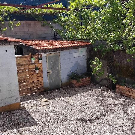 Casa Das Rocas カスタニェイラ・デ・ペーラ エクステリア 写真